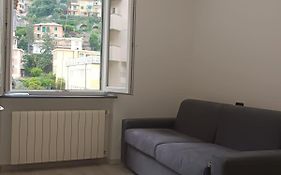 2 Mimose